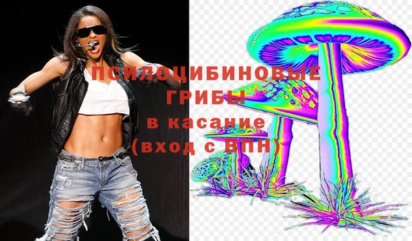 прущий лед Алзамай