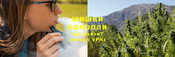 гашик Алексеевка