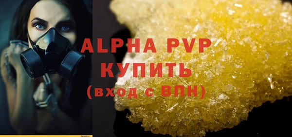 дурь Няндома