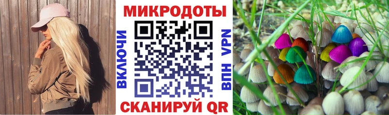 где купить   Подпорожье  Псилоцибиновые грибы прущие грибы 